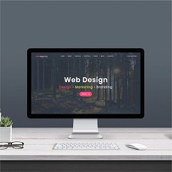 Web Design in PC